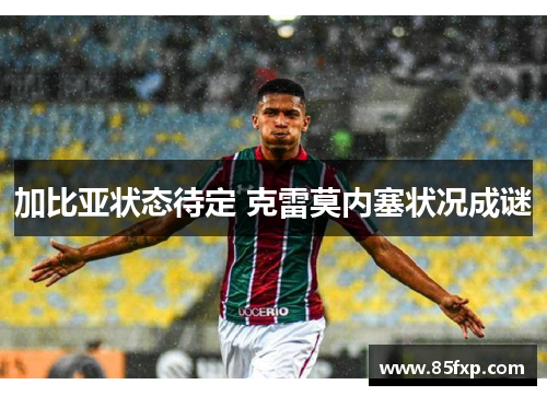 加比亚状态待定 克雷莫内塞状况成谜